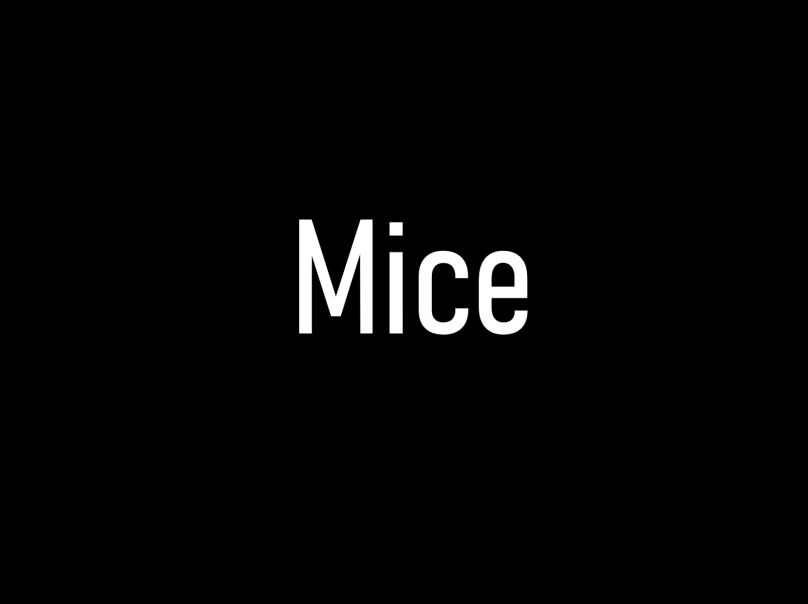 mice